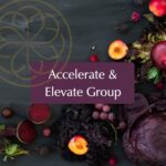 Group logo of Accelerate & Elevate Programs